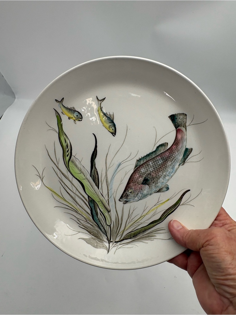 Vintage Johnson Bros. Hand-Engraved Fish Decorative Plate-Made in England -10”
